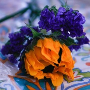 Meet your Posher, Carla